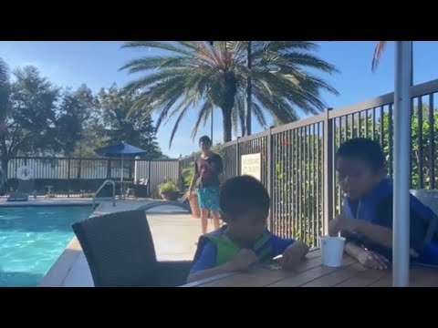 Hampton Inn by Hilton & Suites Clearwater/St Petersburg 4050 Ulmerton - Hampton Inn And Suites Clearwater Ulmerton Road