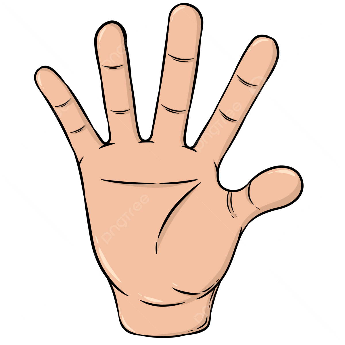 Hand Palms, Hand, Palm, Human Hand PNG Transparent Clipart Image and - Hand Held Poker Games For Seniors