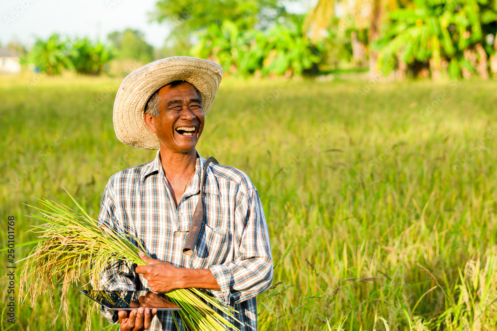 Happy farmers on his farm An Asian farmer who smiles happily, standing - Farmer John Sausage Where To Buy