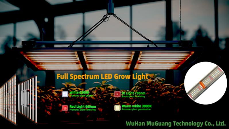 Black Friday Deals On Grow Lights