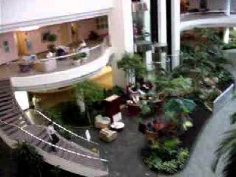 Health Park - YouTube - Healthpark Florida Lee Memorial Health System