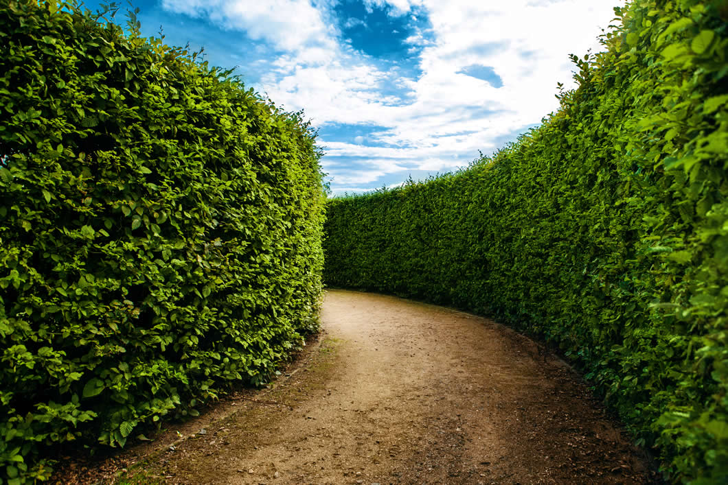 Hedge Plants – Valley Plants - Hedge Fund Industry Assets Under Management