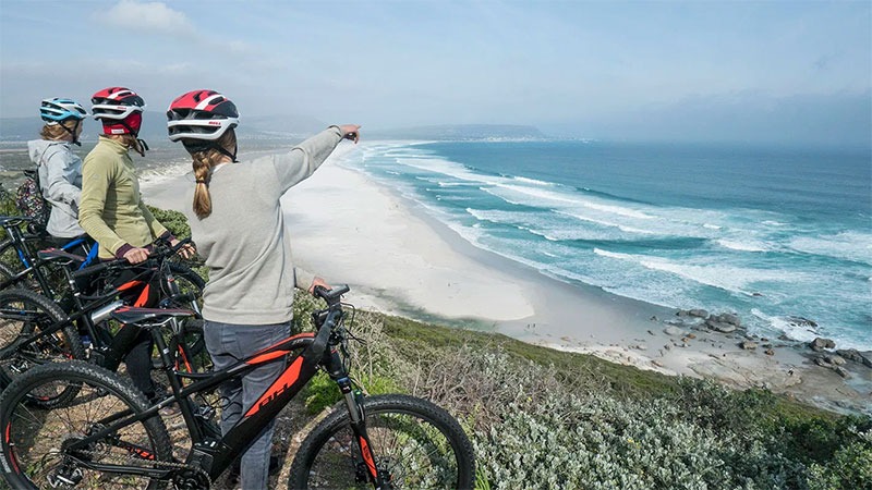 Help Create Africa's First Decentralised Tourism Community | Chuffed - African Eagle Day Tours Cape Town South Africa