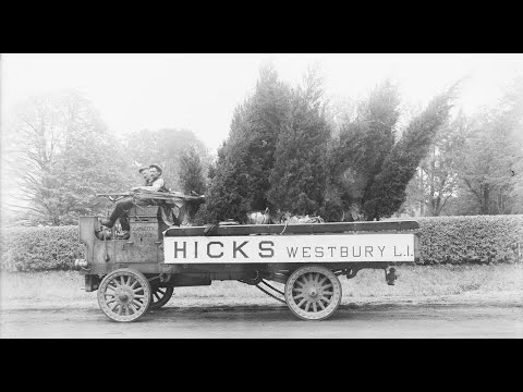 Hicks Nurseries Celebrates 170 Years of Serving Long Island - YouTube - Hicks Nurseries Inc. Jericho Turnpike Westbury Ny