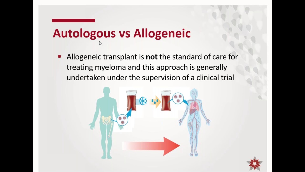 High dose Therapy and Autologous Stem Cell Transplantation - YouTube - Autologous Vs Allogeneic Stem Cell Transplant