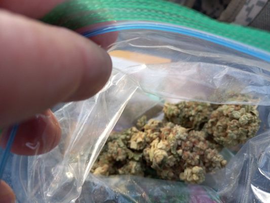 HIGH PROFILE OF GRAND RAPIDS - 44TH ST DISPENSARY - Updated May 2025 - High Profile Of Grand Rapids 44th St Dispensary Photos