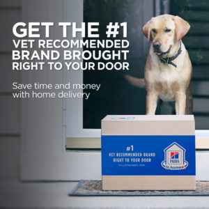 Hilltop Animal Hospital - Services Offered By Hilltop Animal Hospital