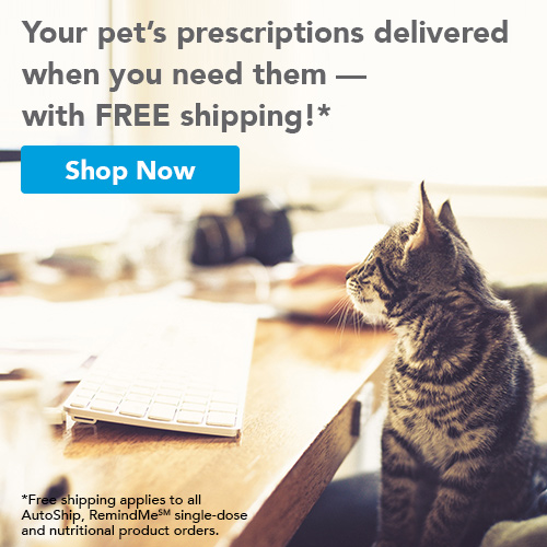 Hilltop Animal Hospital - Services Offered By Hilltop Animal Hospital