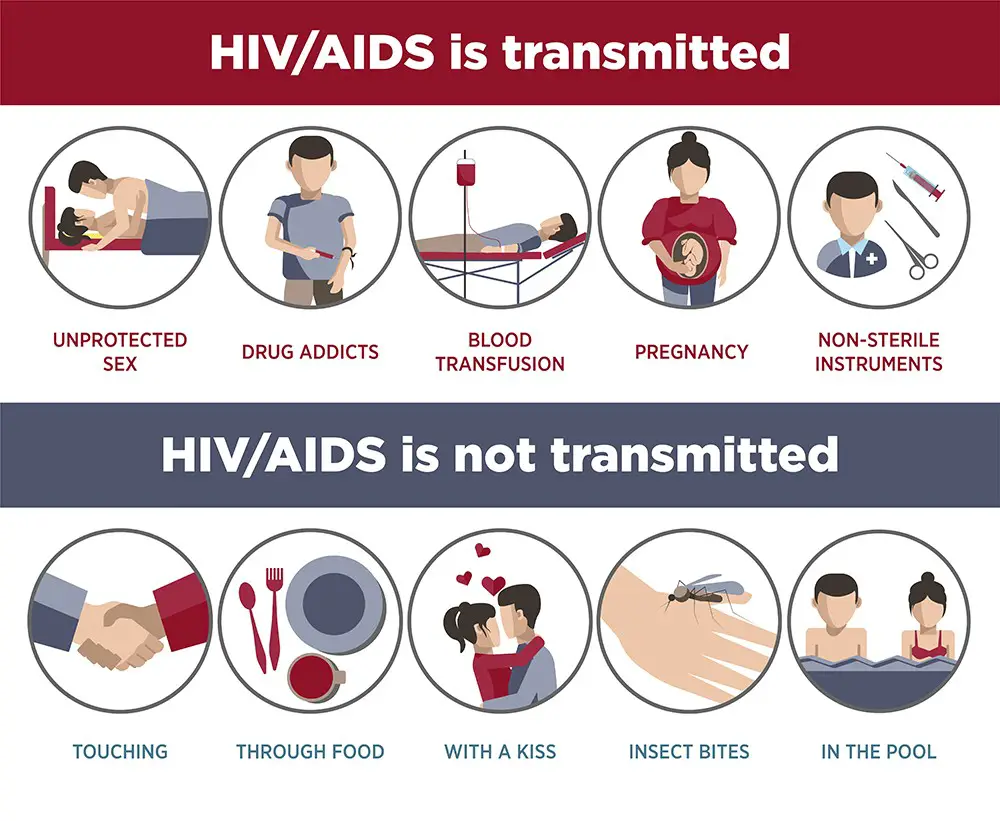 Hiv Trials Failed Because Of Igg4 Antibodies