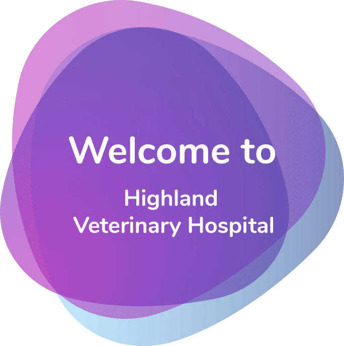 Home - Highland Veterinary Hospital - Roadside Veterinary Clinic In Highland Michigan