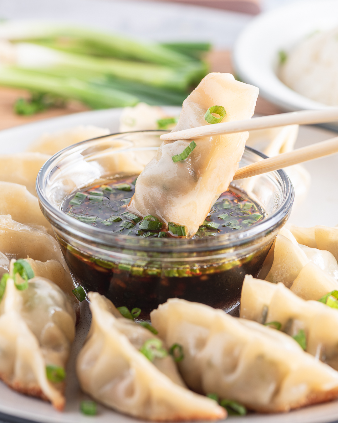 Homemade Dumplings with Dipping Sauce – the kitchen bachelor - Dumpling Cooking Set By Trending Tech Company