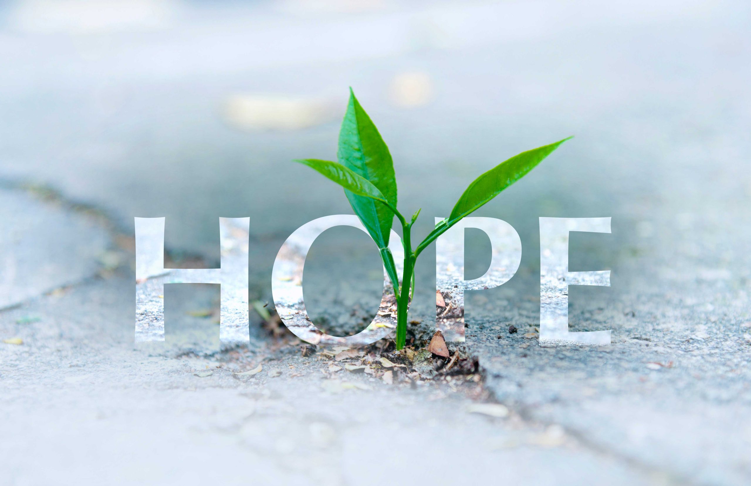 Hope: The 3 Things needed to Grow and Thrive | SCA - Hope Healthy Outcomes From Positive Experiences