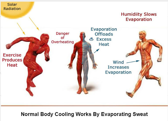 Hot Weather / Cold Water | cold water safety - During Outdoor Physical Activity The Body Maintains Its Temperature By