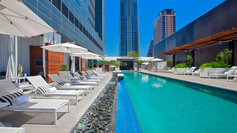 Hotels near Moody Theater Austin, TX | W Austin | Austin hotels, Hotel - Hotels Near The Moody Center Austin Texas