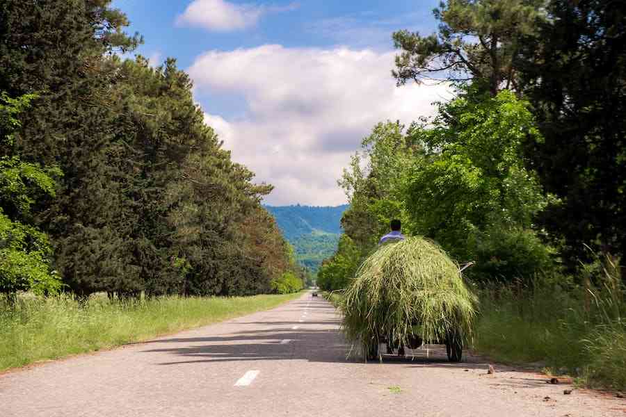 How Did Improved Transportation Affect Farming