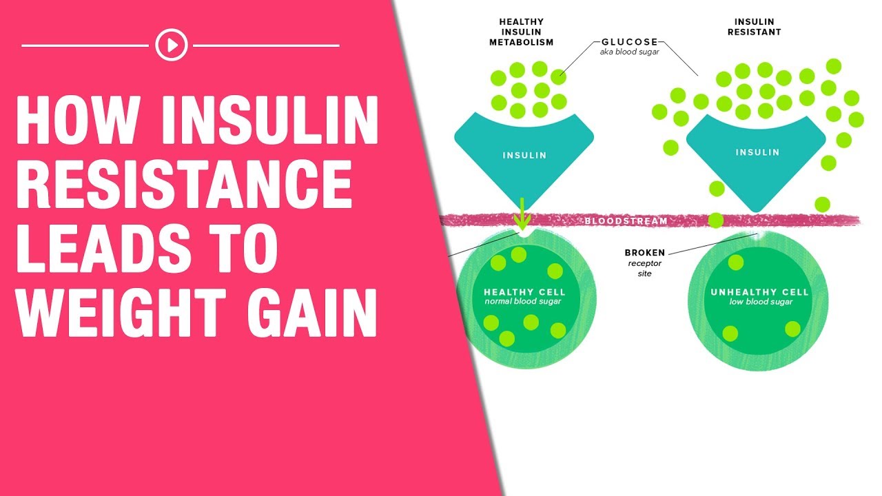 Does Whey Protein Increase Insulin Resistance