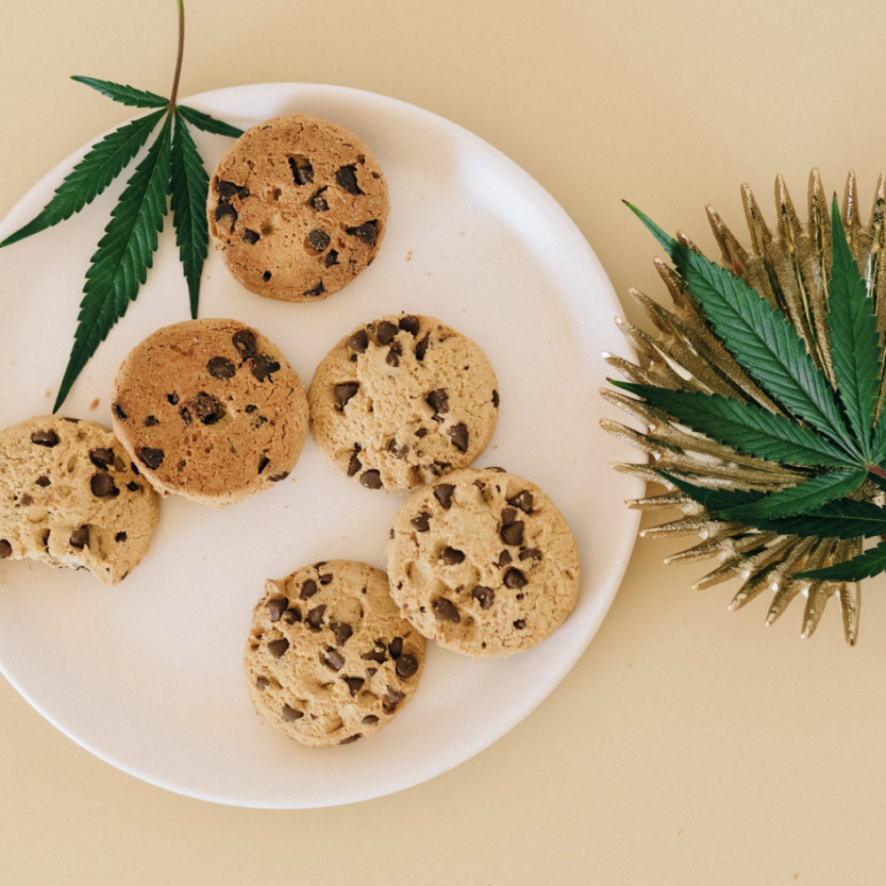 How Long do Edibles Stay in Urine? - How Long Do Edibles Stay In Urine