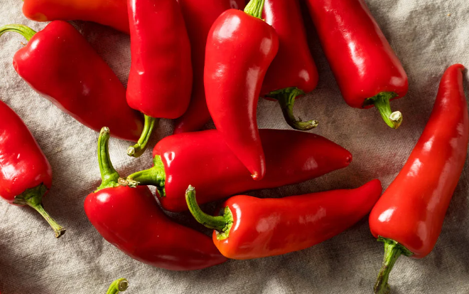 How Long Does Capsaicin Burn Last? - Scigroundbio - How Long Does Capsaicin Burn Last