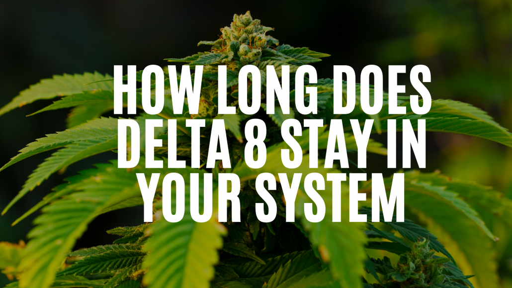 How Long Does Delta 8 Stay In Your System? – Meshing Your Vaping Geometry - How Long Does Delta 9 Stay In Your System