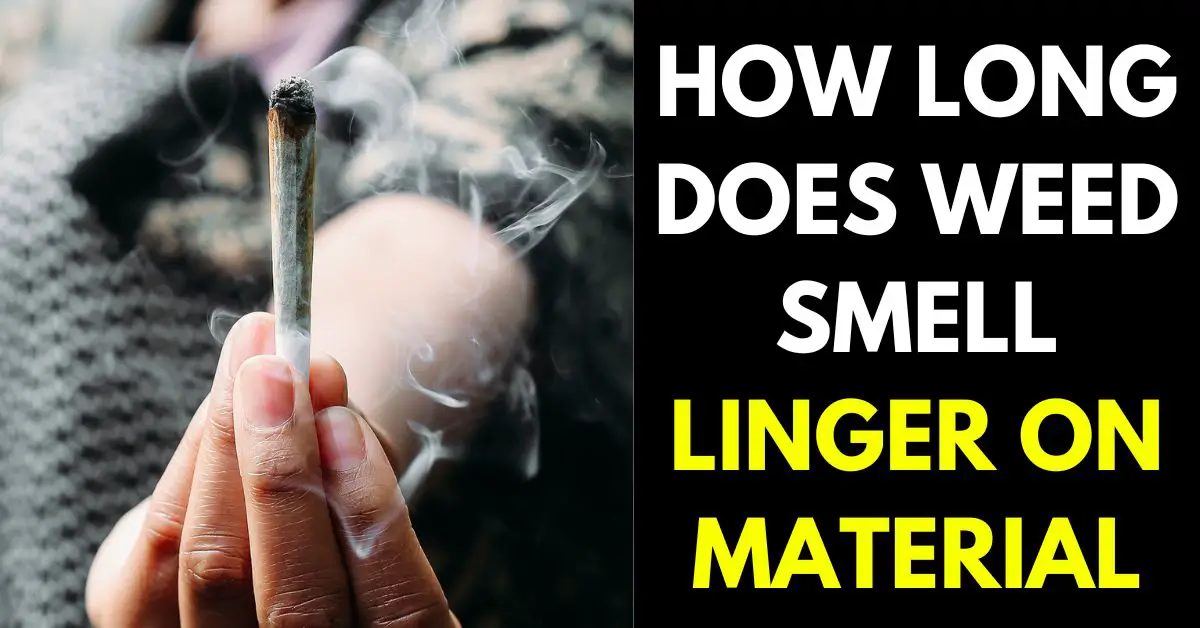 How Long Does Weed Smell Linger