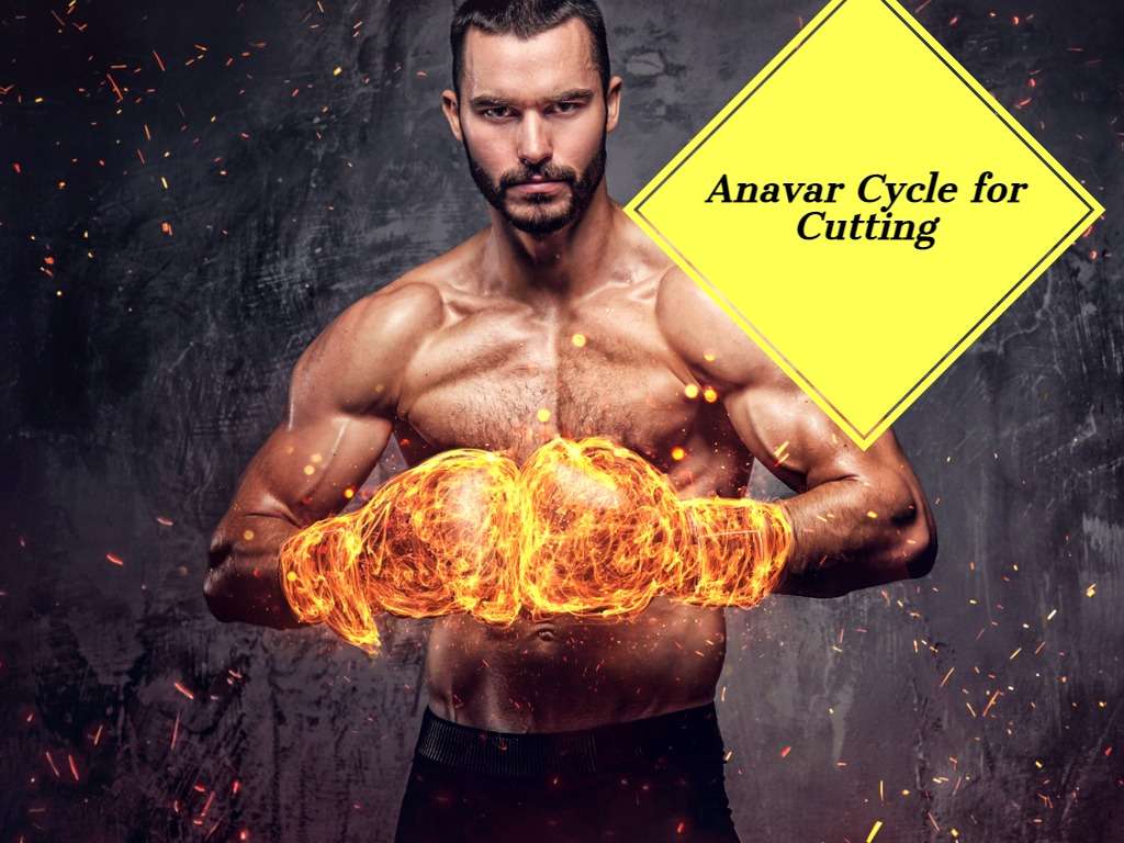 How Many Anavar Cycles Per Year? A Beginner's Guide - How Many Anavar Cycles Per Year
