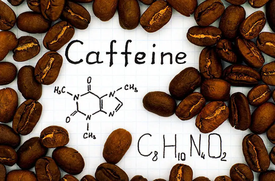 How Much Caffeine in a Cup of Coffee? - Caffeine Anhydrous Vs Green Coffee Bean Extract