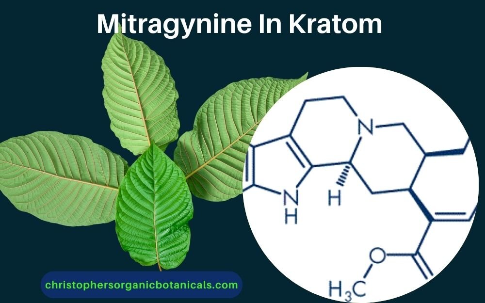 How Much Mitragynine In A Gram