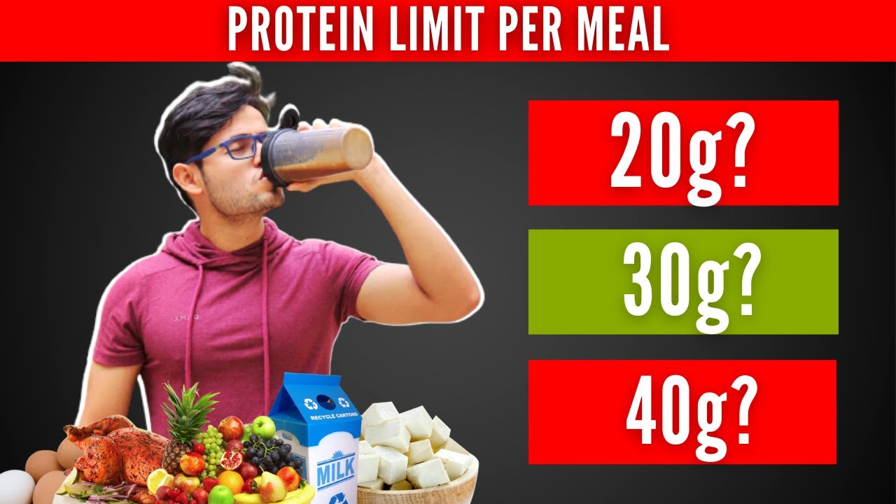 How Much Protein Can Body Digest (At One Time) - YouTube - How Much Protein The Body Can Absorb At Once