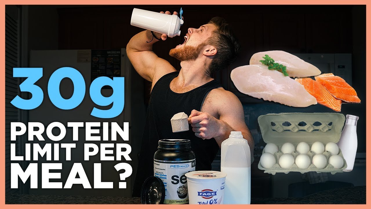 How Much Protein The Body Can Absorb At Once