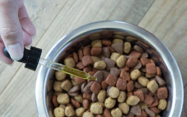 How Often Can I Give My Dog CBD Oil For Stress? - How Long Does Cbd Last In Dogs