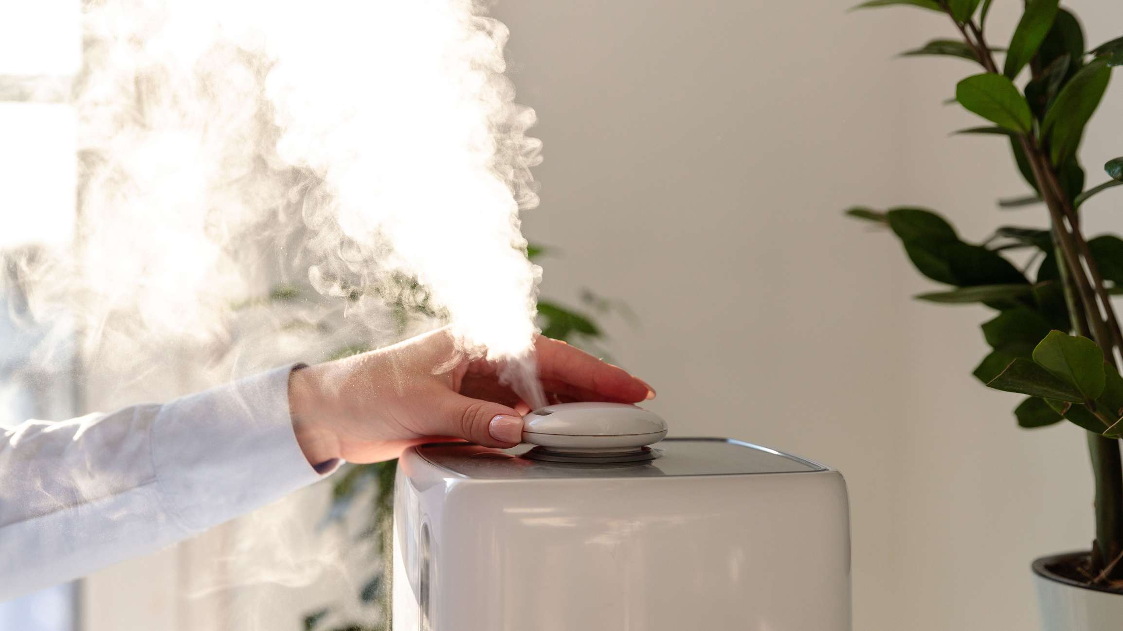 How Often Should You Change A Humidifier Filter