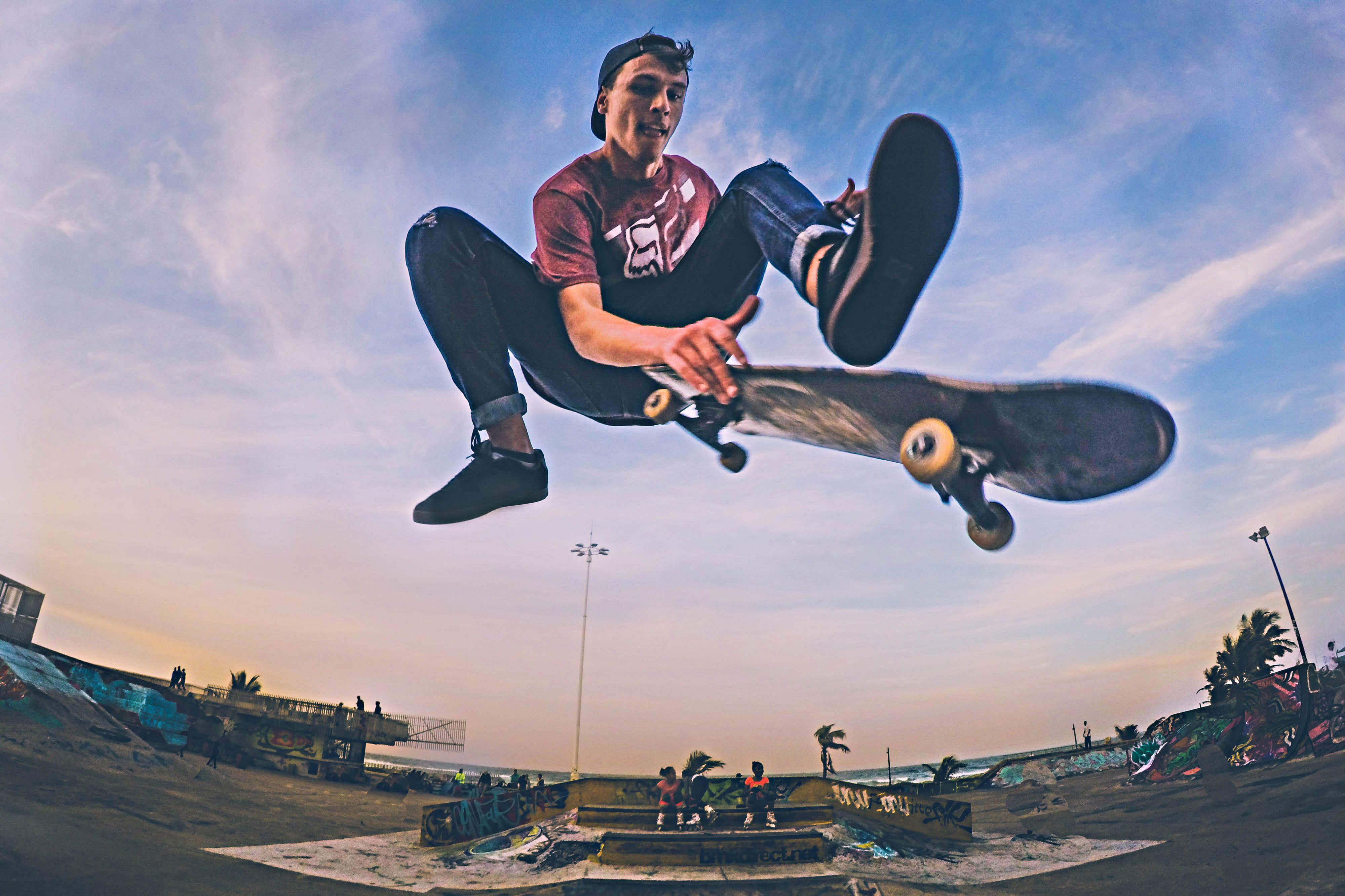 Skate Shop Projected Profit Graphs And Charts