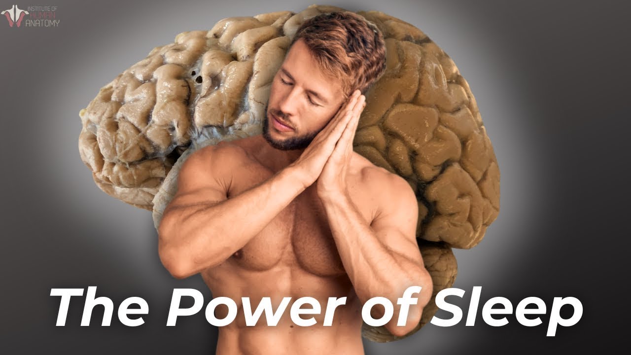 How Sleep Powers Muscle Growth - YouTube - How Much Sleep For Muscle Growth