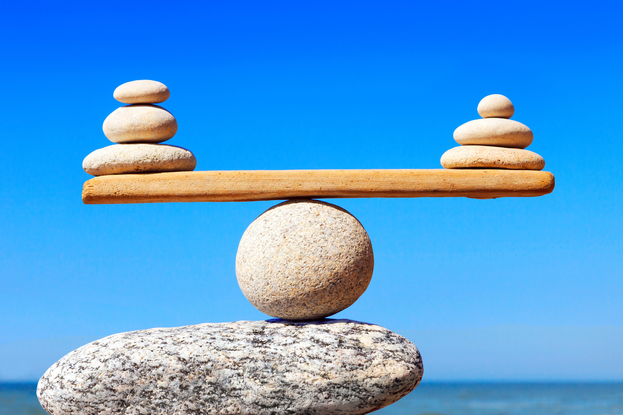 How the Kidneys and Lungs Help Each Other Restore Your Body’s Balance - Balance Of Nature Fiber And Spice Reviews