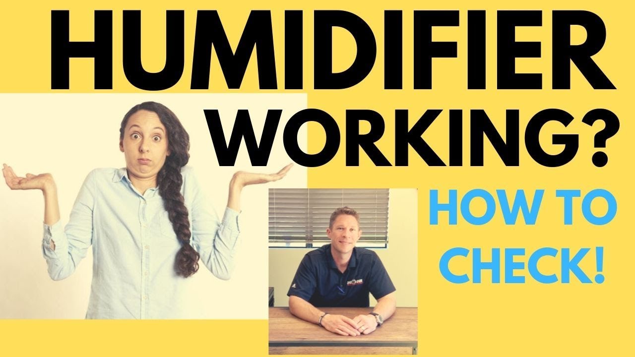 How to Check if Your Humidifier is Working: Plus how often to change - How Often Should You Change A Humidifier Filter
