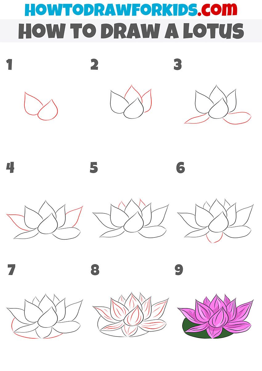 How To Draw A Lotus Flower Step By Step For Beginners – Eroppa - How To Draw Lotus Step By Step