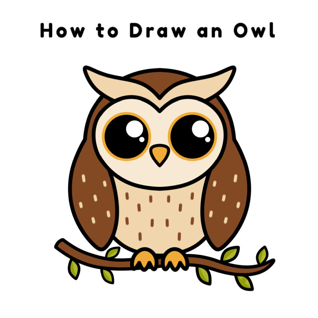 How to Draw An Owl - Draw The Product For The Following Reaction
