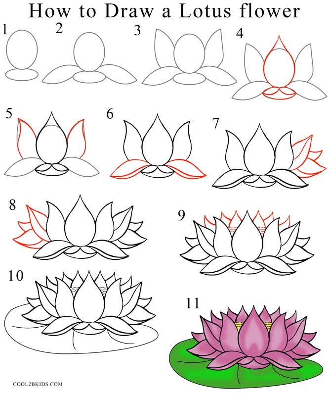 How To Draw Lotus Step By Step