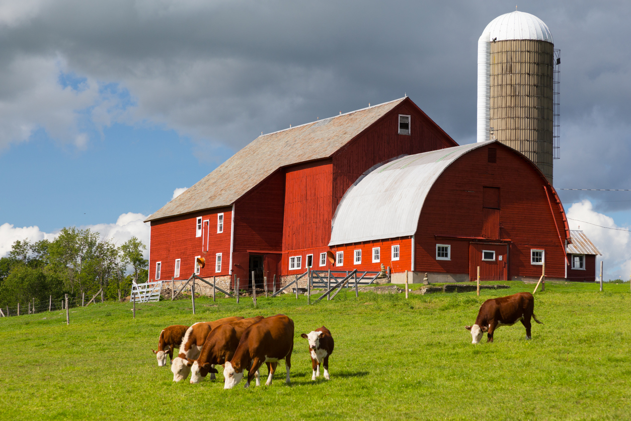 How To Find A Local, Organic Farm Near You - 5thBranch - Farm And Fleet Black Friday Sale