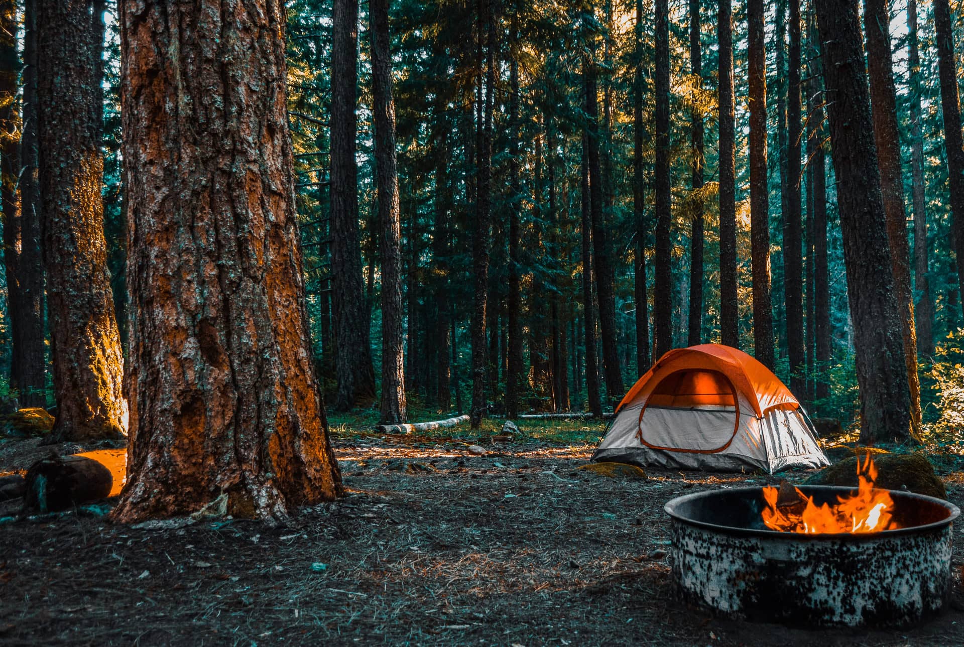 How to find free camping near you on your road trip | Roadtrippers - Camping World Of New Port Richey Holiday Fl