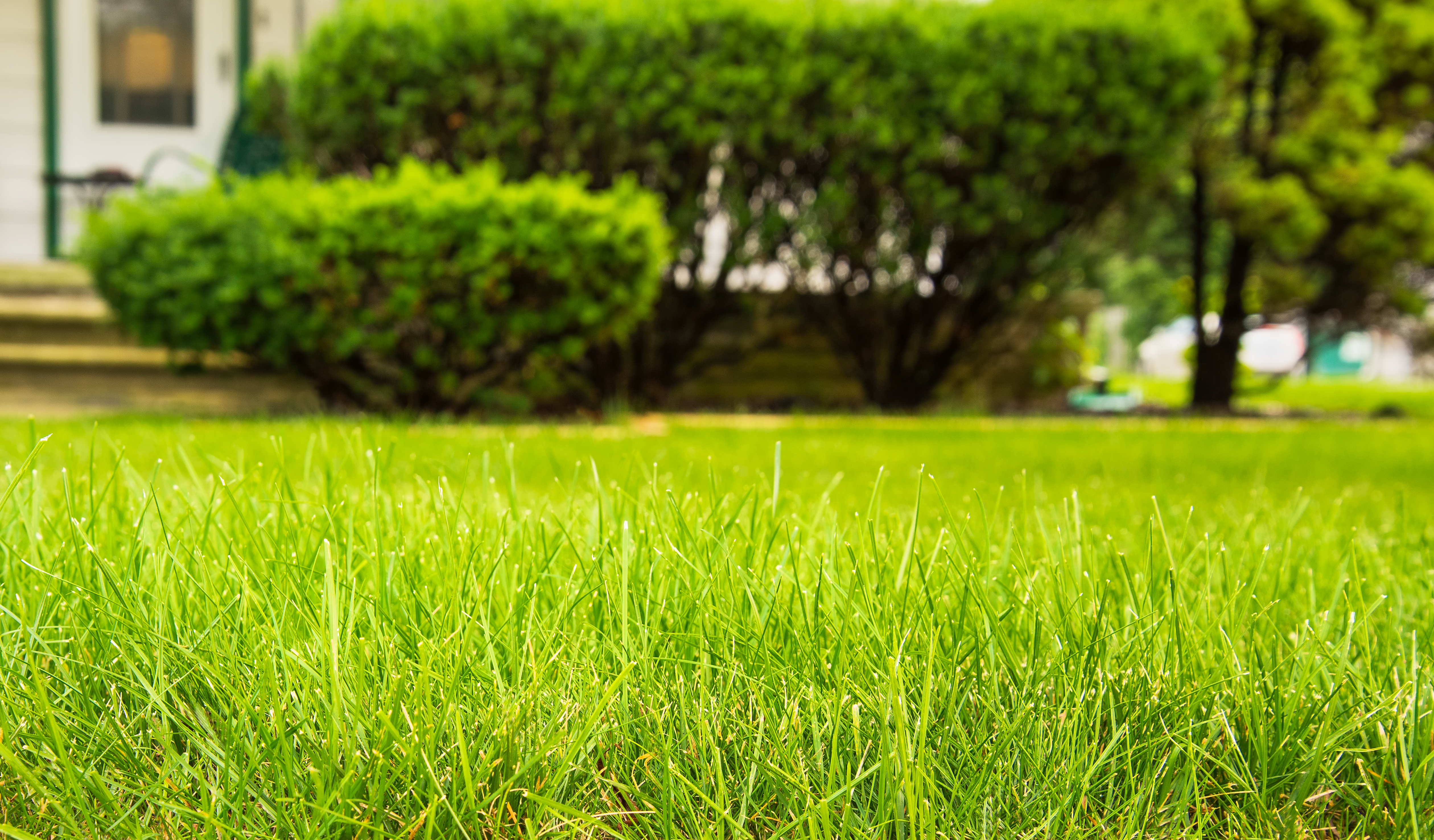 How to Get a Great Lawn With Aeration, Top Dressing, and Overseeding - Lawn Mower And Weed Eater Combo