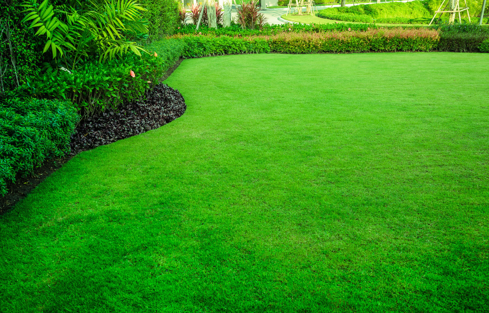 How to Get a Green Lawn: 5 Ways to Really Get Greener Grass - Lawn Mower And Weed Eater Combo