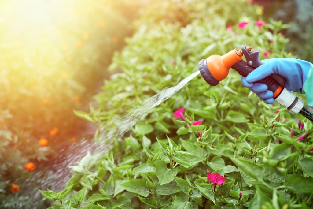 How To Increase Water Pressure In Garden Hose? - How To Increase Water Pressure Garden Hose