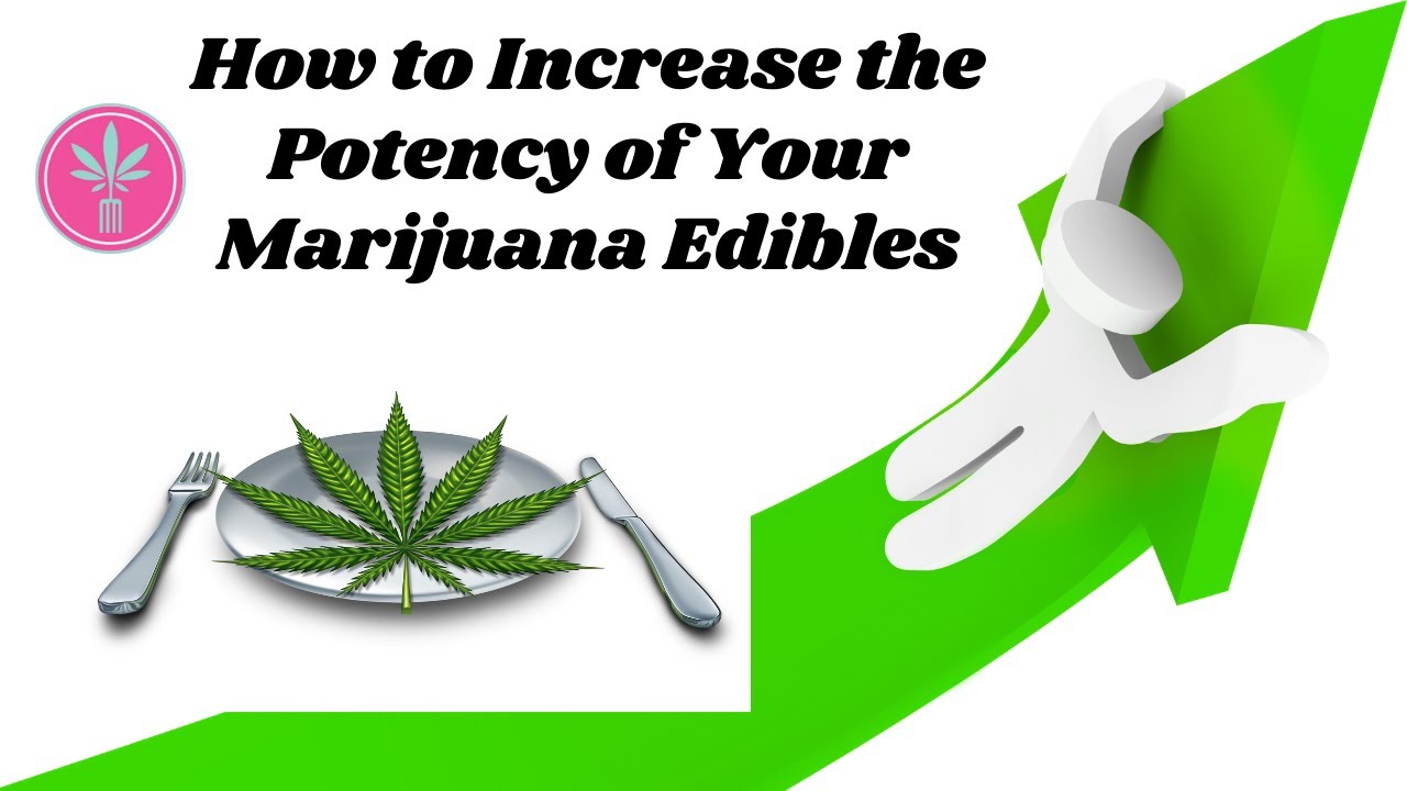 How Quickly Do You Build Tolerance To Edibles