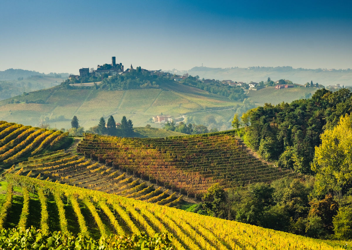 How to plan a trip to Piedmont wine region in Italy - Piedmont Regional Dental Clinic Orange Va