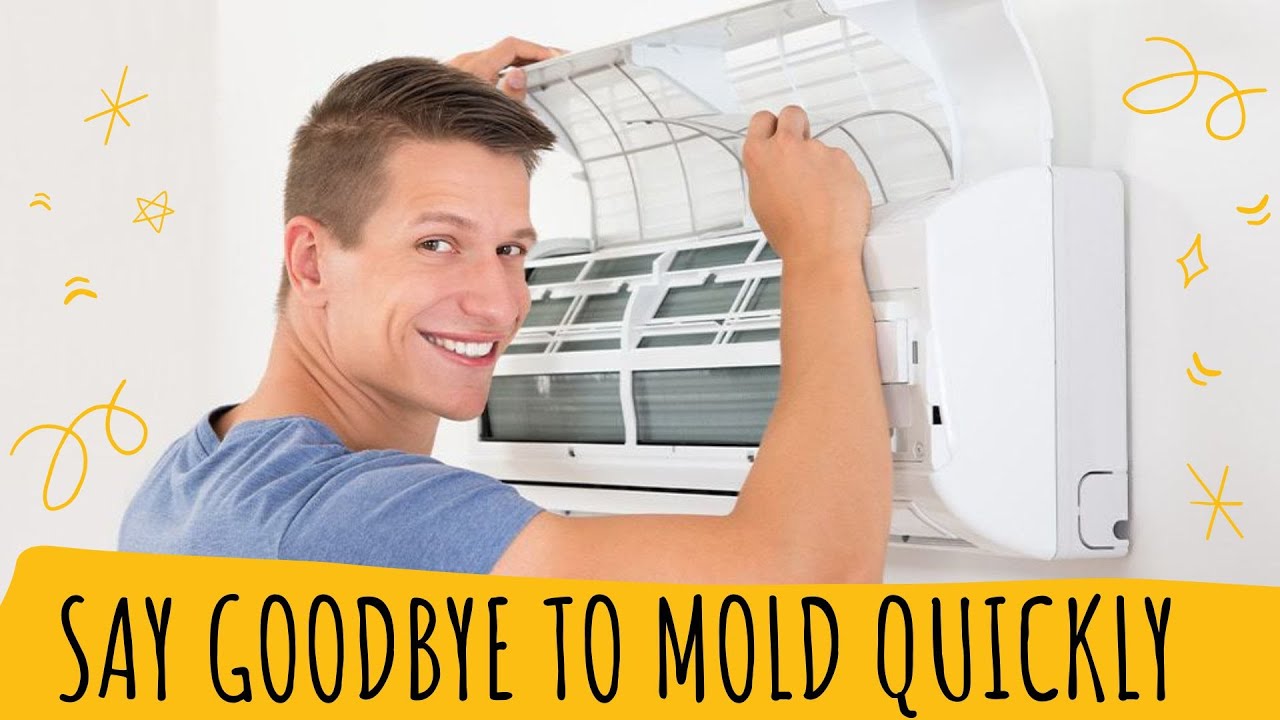 How To Prevent Mold In Air Conditioner? Say Goodbye to Mold In 5 - How To Prevent Mold In Window Ac