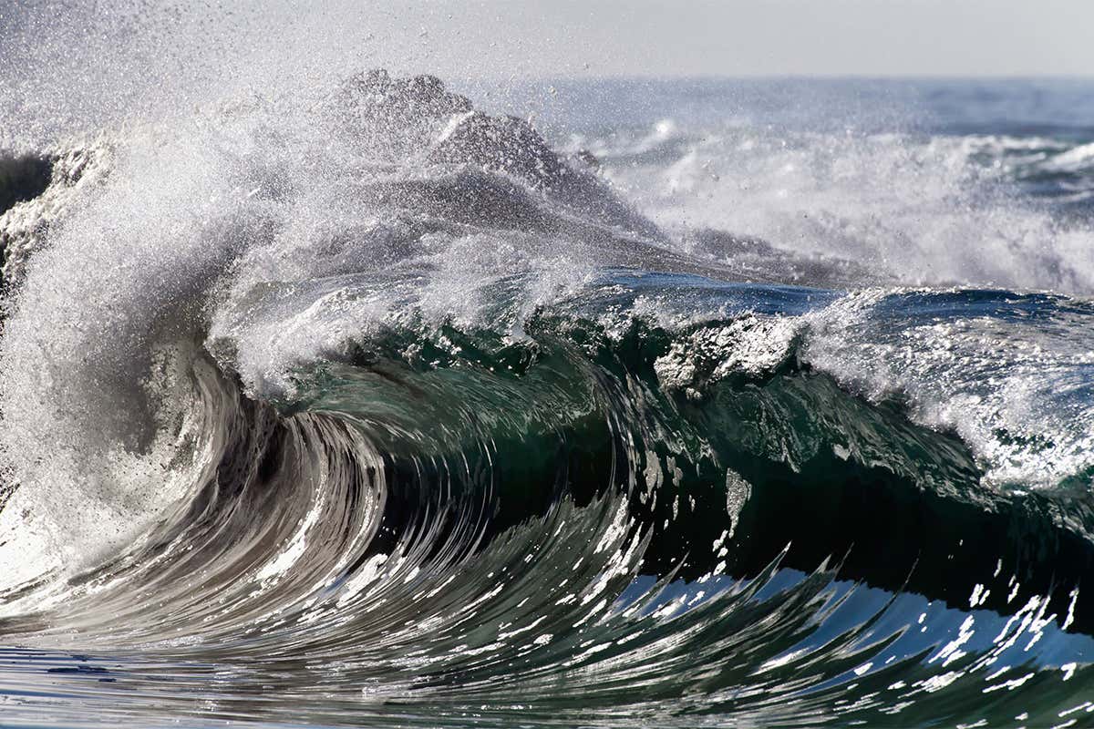 How To Read Tides - Tide Free And Gentle Vs Tide Simply Free And Sensitive