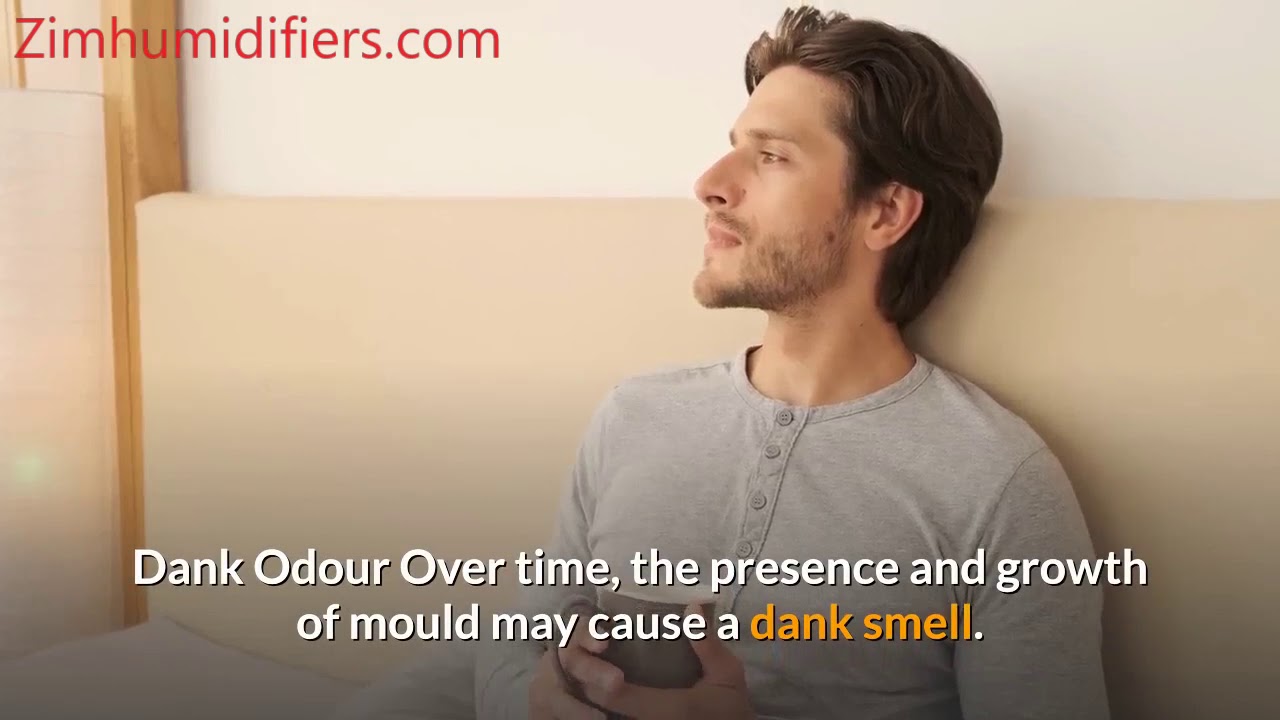 How to remove humidity from a room without a dehumidifier (A - How To Dehumidify A Room Without Dehumidifier
