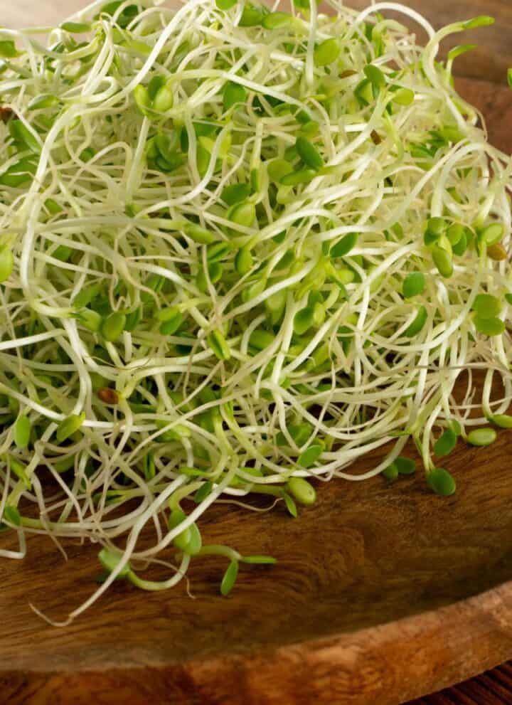 How to Sprout Archives - The Wonderful World of Sprouts - Does Sprouts Take Ebt In Store