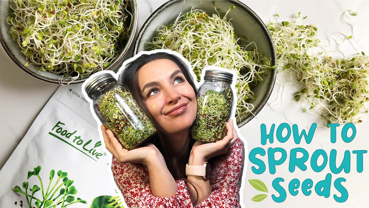 HOW TO SPROUT SEEDS | EASY GUIDE | Foolproof Method - YouTube - How Long Do Seeds Take To Sprout